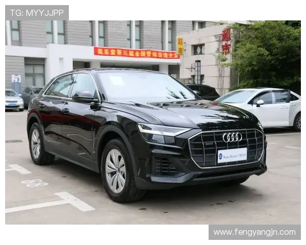 奥迪:在自我探索的旅程中不断接近完美与神性 奥迪:在自我探索的旅程中不断接近完美与神性