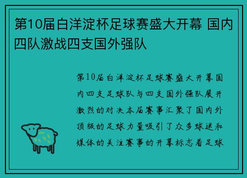 第10届白洋淀杯足球赛盛大开幕 国内四队激战四支国外强队